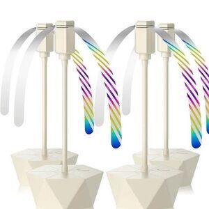 Outdoor Event Camping Wedding Fly Fans Four Packs